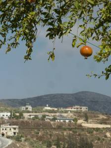 10380186_10204351845495131_6766123846154184337_o