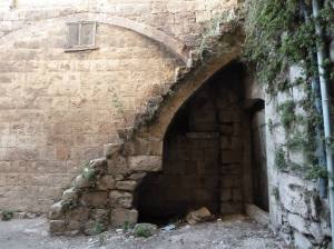 10547001_10204418528122155_763490799168092345_o