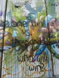 10557727_10204539367943075_1609428412563627495_o